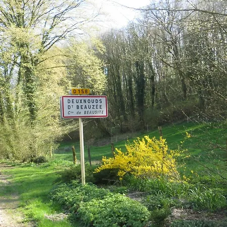 Lorrain Avec Poele, Jardin Et Terrasse, Proche Des Sites Historiques De Verdun - Fr-1-585-4 *