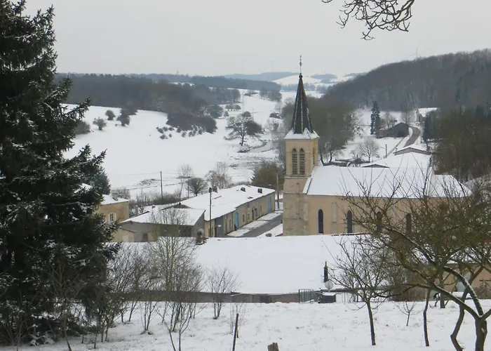 Prázdninový dům Lorrain Avec Poele, Jardin Et Terrasse, Proche Des Sites Historiques De Verdun - Fr-1-585-4